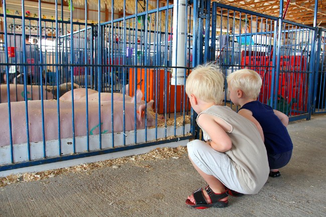 Benton County Fair - September 26-30, Bentonville AR. NWARBuzz