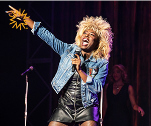 tina turner musical