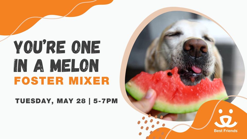 "You're One in a Melon" Pet Foster Mixer