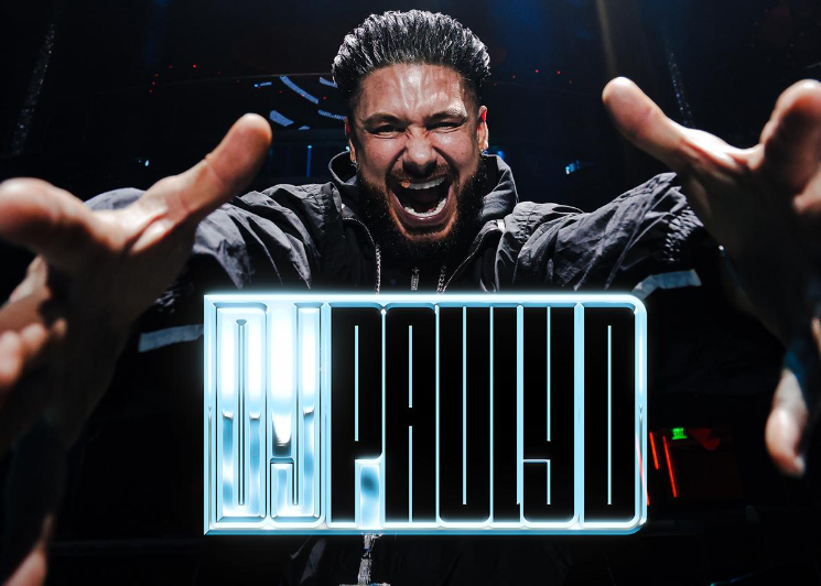 DJ Pauly D